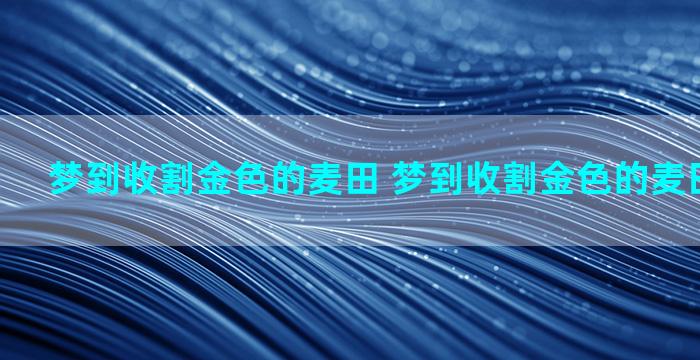 梦到收割金色的麦田 梦到收割金色的麦田什么意思